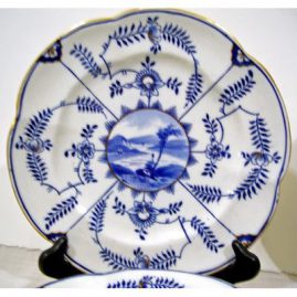 Close up of Coalport Salopian plates, ca-1880s-1890s