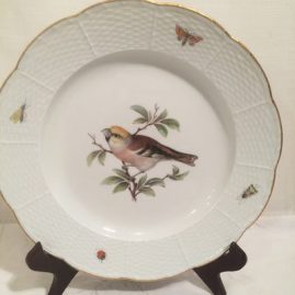Meissen plate painted with bird and bugs