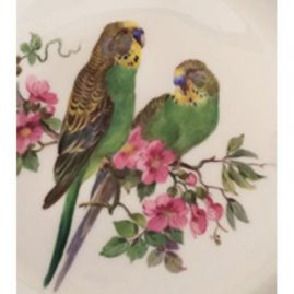 Close up of the fine painting on one of the twelve Meissen bird plates shown in previous picture. Sold