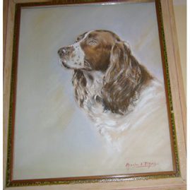 Pastel of springer spaniel signed Charles A. Phelps