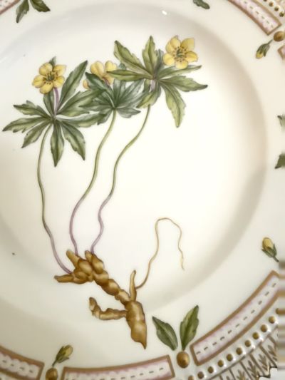 Royal Copenhagen Flora Danica plate with yellow botanical flowers Royal Copenhagen Flora Danica plate with yellow botanical flowers